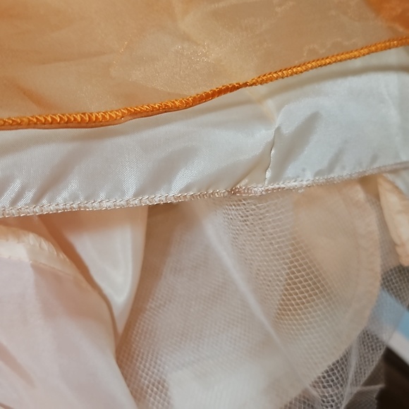 Dress Size 14- Formal Sheer Apricot Color  Embellished Dress - Picture 8 of 8